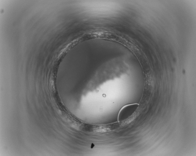 X0000072990754200608111807