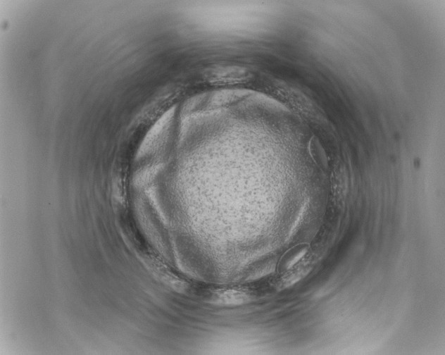 X0000072990755200608111807