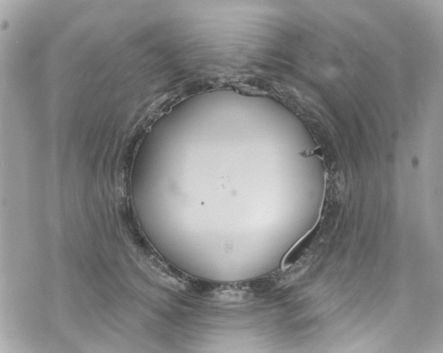 X0000072990756200608111807