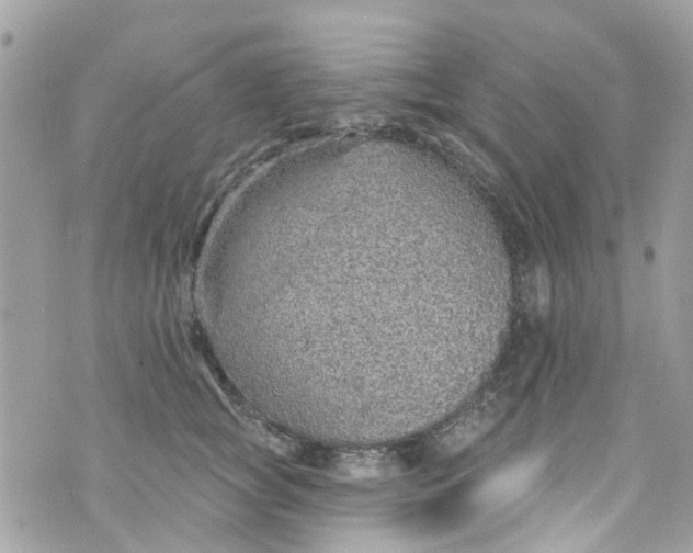 X0000072990757200608111807