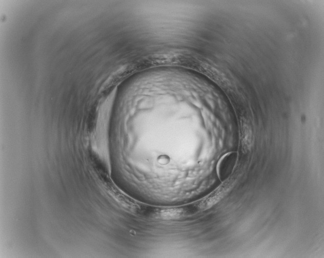 X0000072990758200608111807