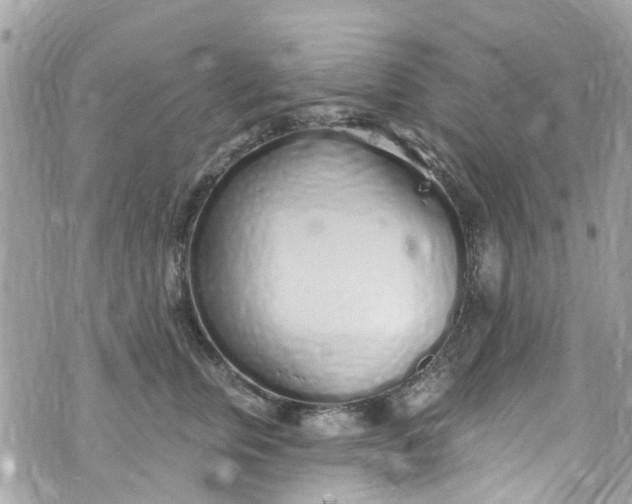 X0000072990759200608111807