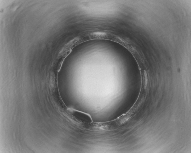 X0000072990760200608111807