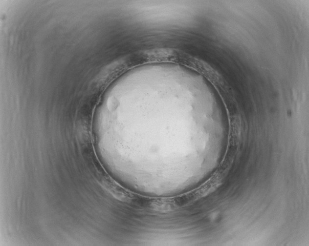 X0000072990761200608111807