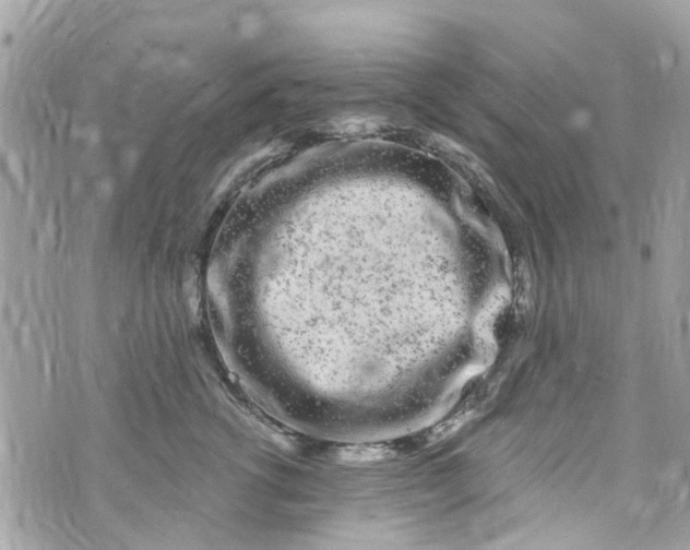 X0000072990762200608111807