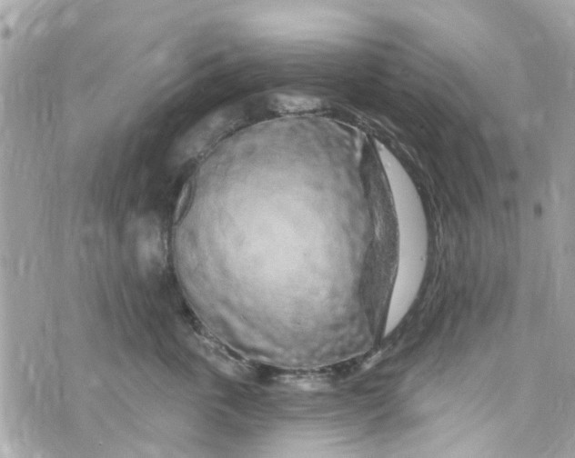 X0000072990763200608111807