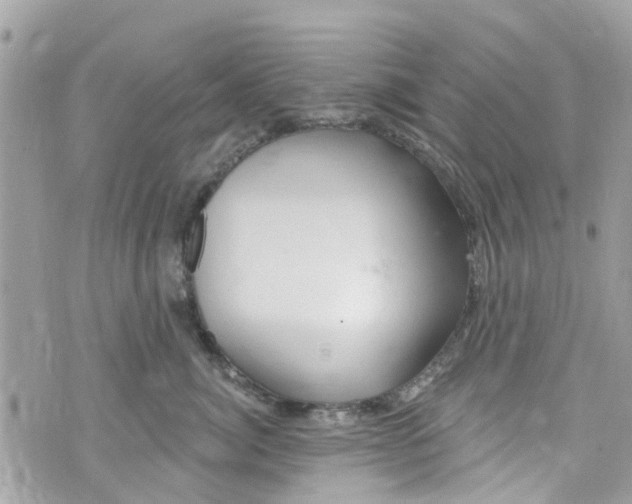 X0000072990764200608111807