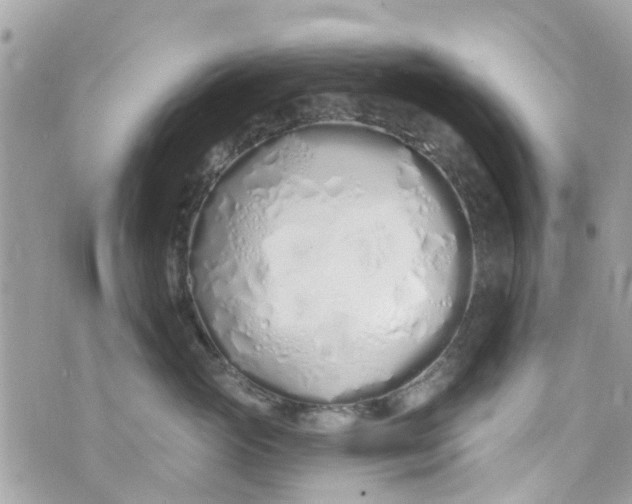 X0000072990765200608111807