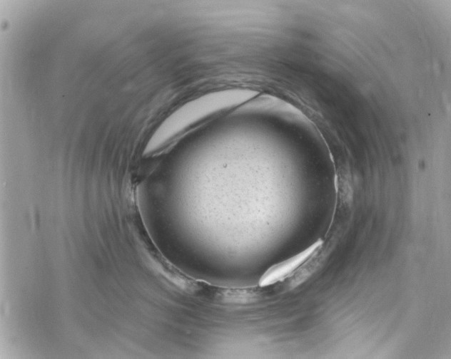 X0000072990766200608111807