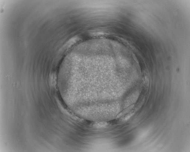 X0000072990767200608111807