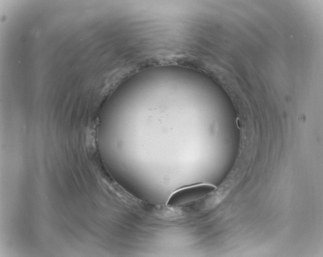 X0000072990768200608111807