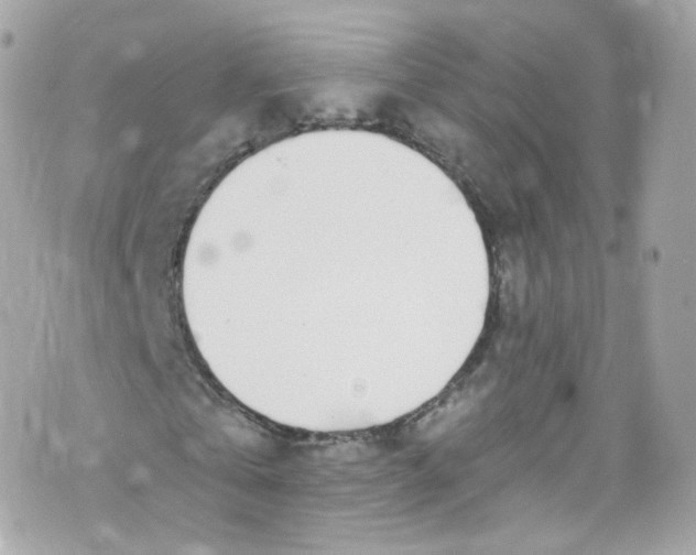 X0000072990769200608111806