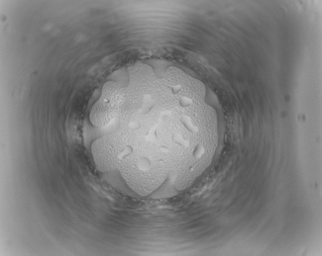 X0000072990770200608111806