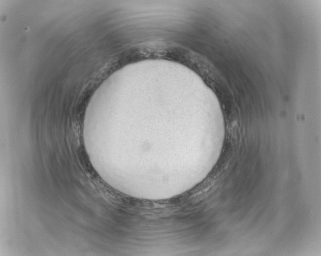 X0000072990772200608111806