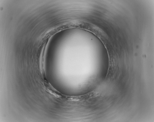 X0000072990773200608111806