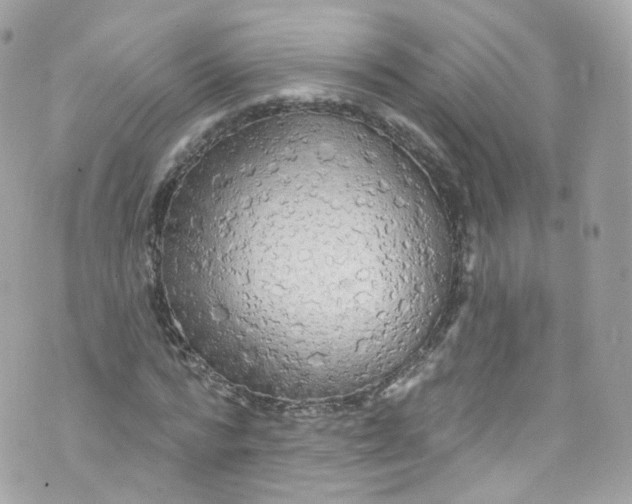 X0000072990776200608111806