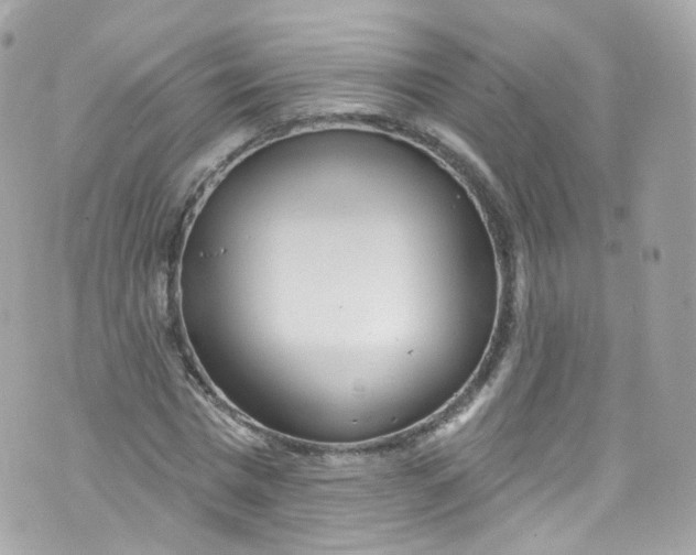 X0000072990777200608111806