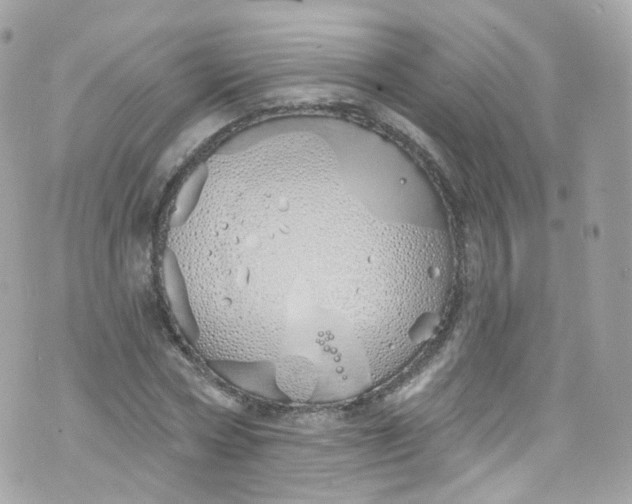 X0000072990778200608111806