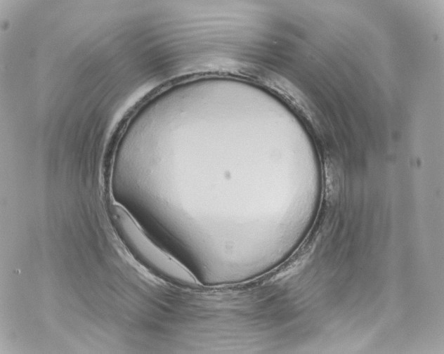 X0000072990780200608111806