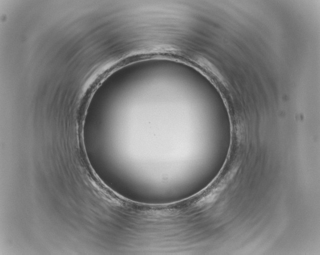 X0000072990781200608111806