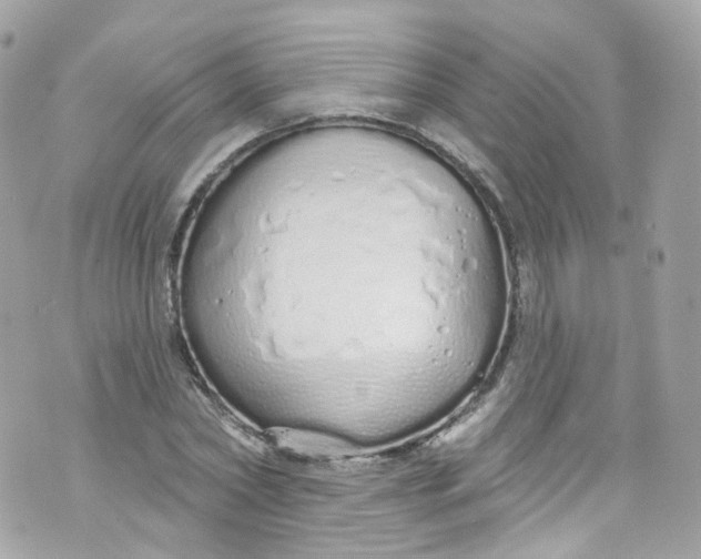 X0000072990782200608111806