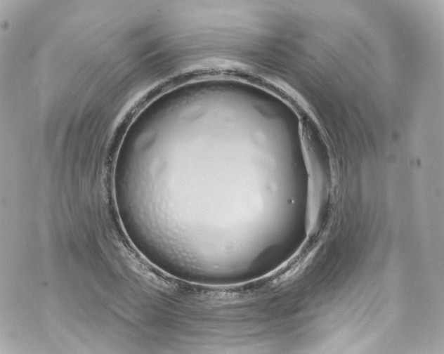 X0000072990783200608111806