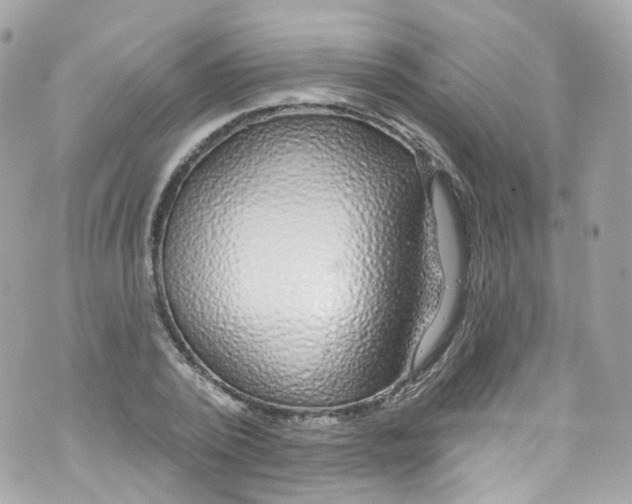 X0000072990784200608111806