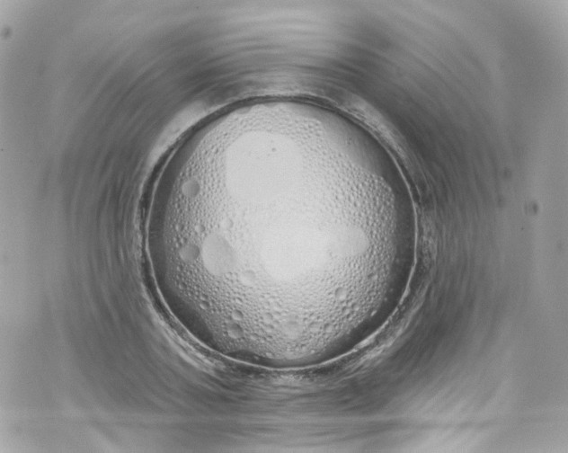 X0000072990787200608111806