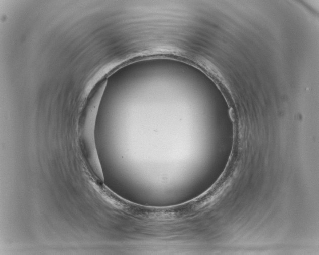 X0000072990789200608111806