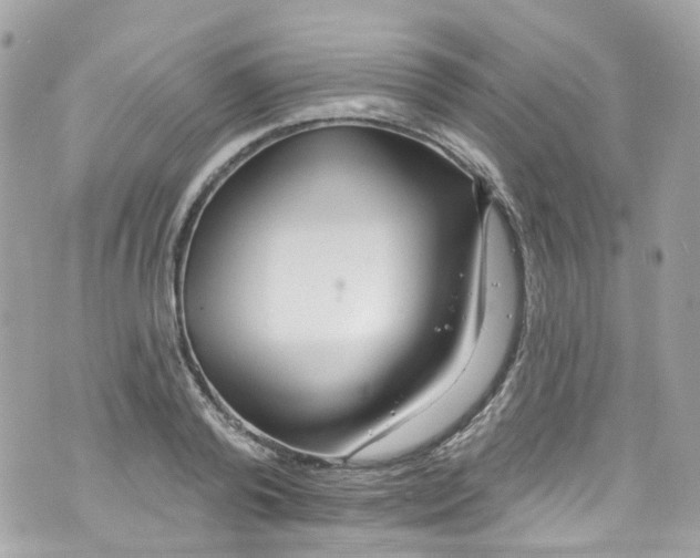 X0000072990792200608111806