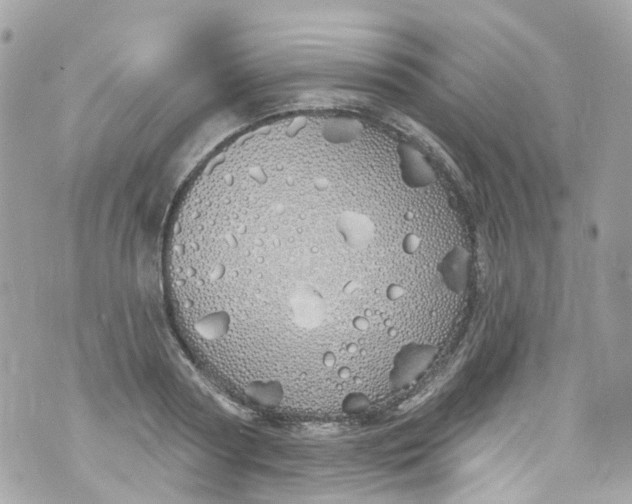 X0000072990794200608111806