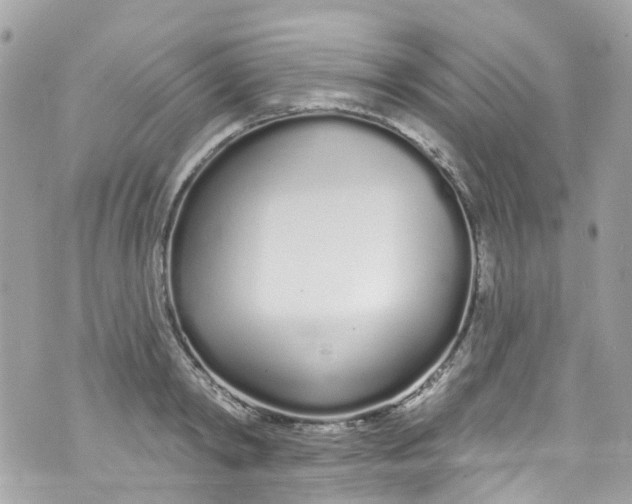 X0000072990798200608111806