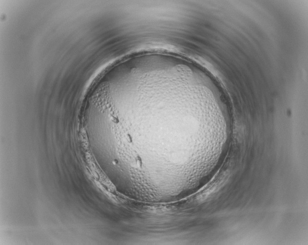 X0000072990799200608111805