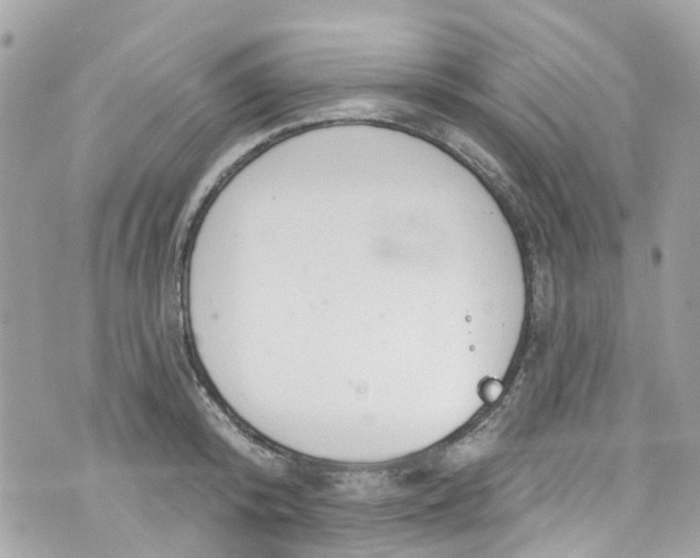 X0000072990800200608111805