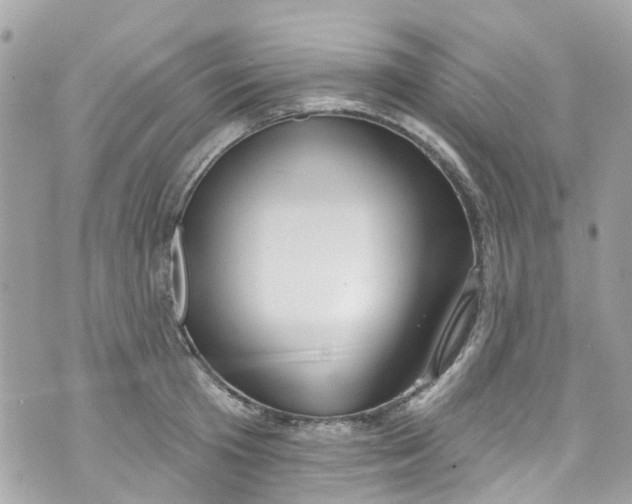 X0000072990801200608111805