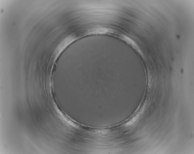 X0000072990802200608111805