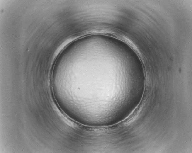 X0000072990803200608111805