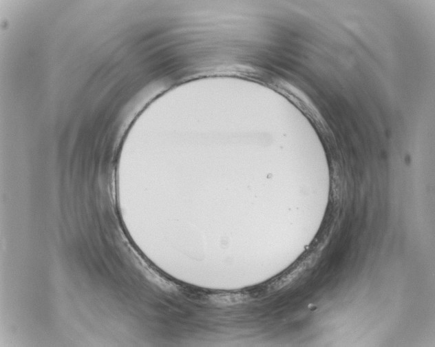 X0000072990804200608111805