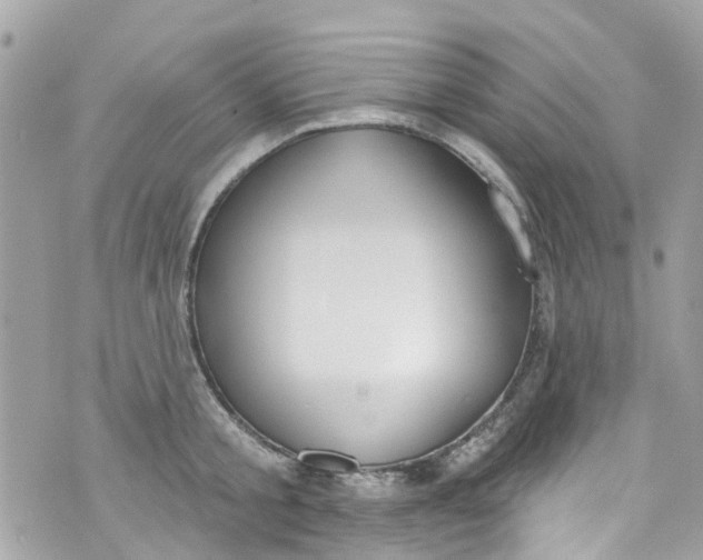 X0000072990805200608111805