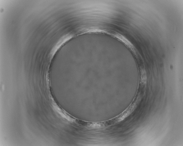 X0000072990806200608111805