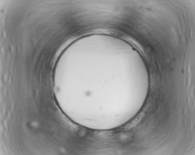 X0000072990808200608111805