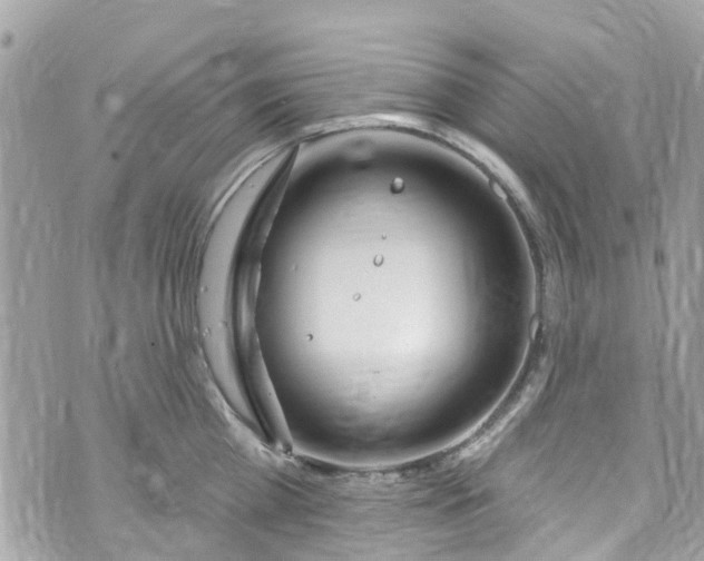 X0000072990809200608111805