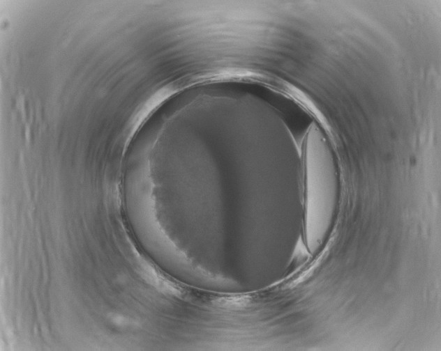 X0000072990810200608111805