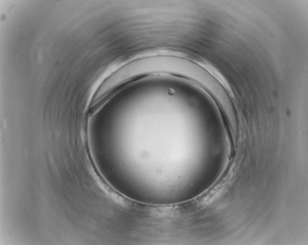 X0000072990813200608111805