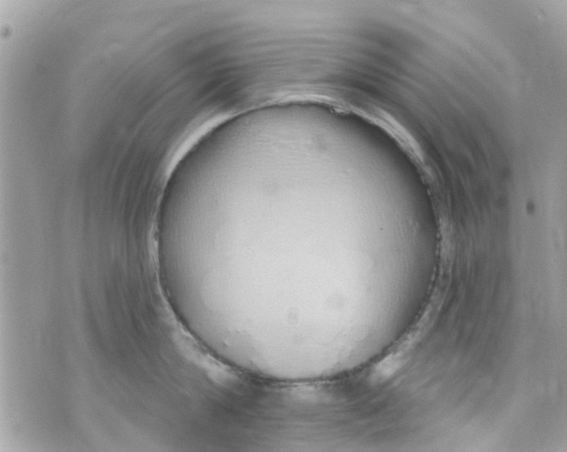 X0000072990814200608111805