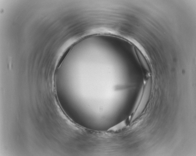 X0000072990815200608111805