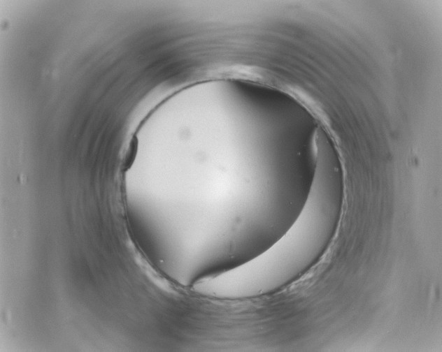 X0000072990816200608111805