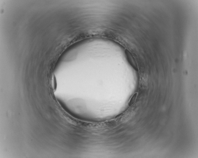 X0000072990817200608111804