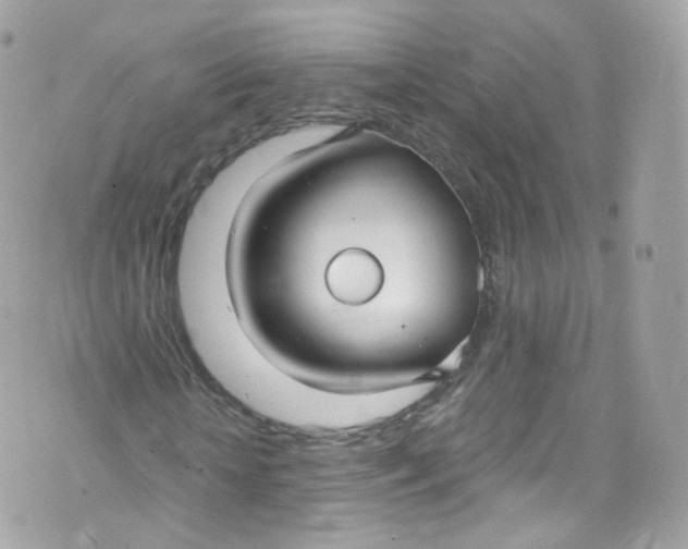 X0000072990818200608111804