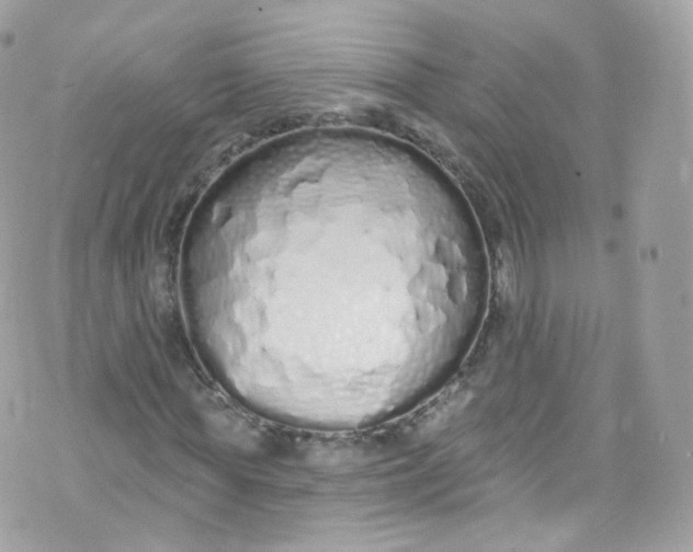 X0000072990819200608111804